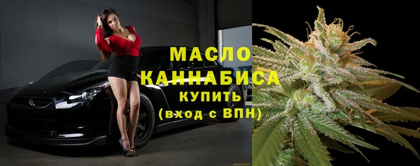 крисы Верхний Тагил