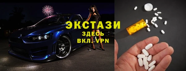крисы Верхний Тагил