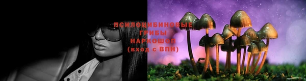 ECSTASY Верея
