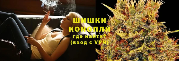крисы Верхний Тагил