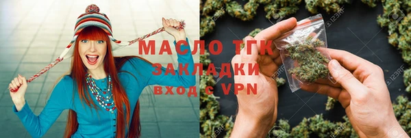 крисы Верхний Тагил