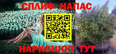 Альфа ПВП Гусь-Хрустальный