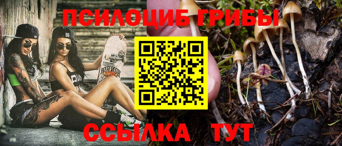 Можайск  Галлюциногенные грибы GOLDEN TEACHER  Вход с VPN 